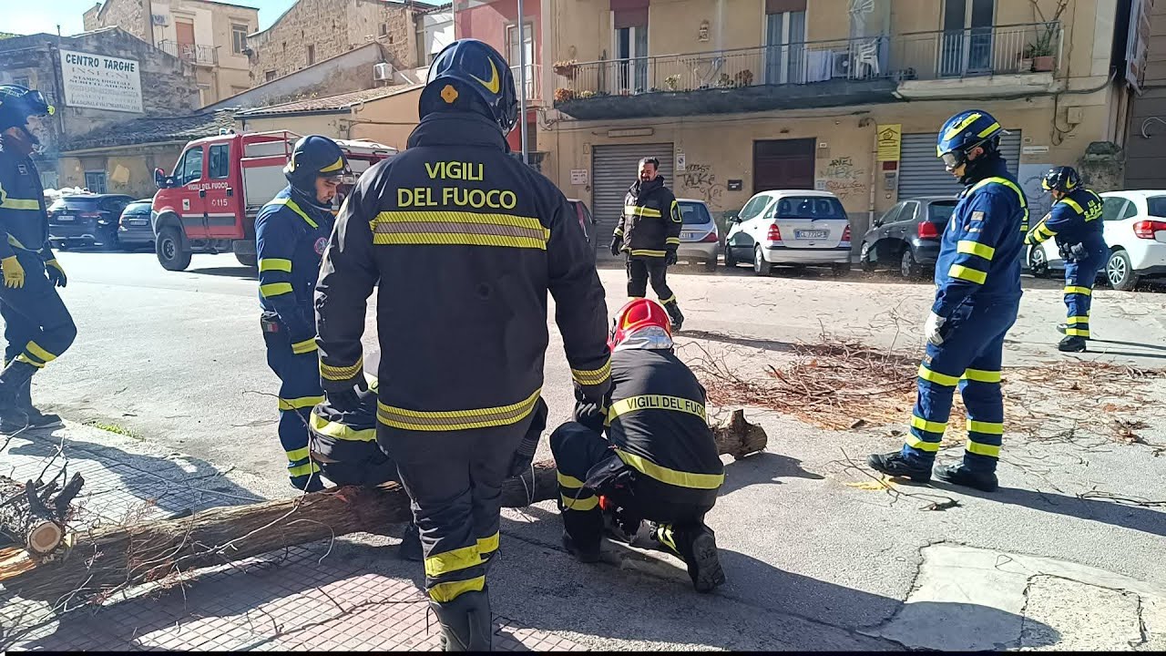 Vigili del fuoco Palermo: [ALBERO PERICOLANTE INTERVENTO CON IL SUPPORTO DELLA PROTEZIONE CIVILE] 