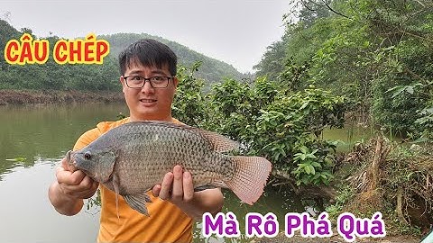 Câu cá giải trí - Câu rô phi và rô đồng to đã tay - Ngọc Biển Fishing