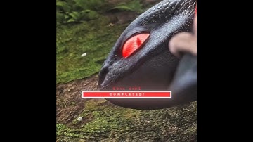 Toothless EVIL Mode Activated 🐉💀🔥 (Fragment Edit)