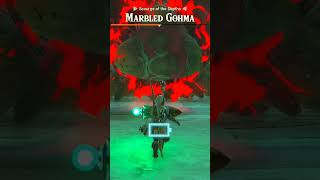 I Beat Marbled Gohma Under 1 Minute - Zelda Tears Of The Kingdom TOTK