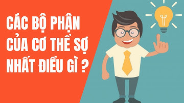 CÁC BỘ PHẬN QUAN TRỌNG CỦA CƠ THỂ SỢ NHẤT ĐIỀU GÌ ? I tin tức sức khỏe I Chăm Sóc Sức Khỏe Chủ Động