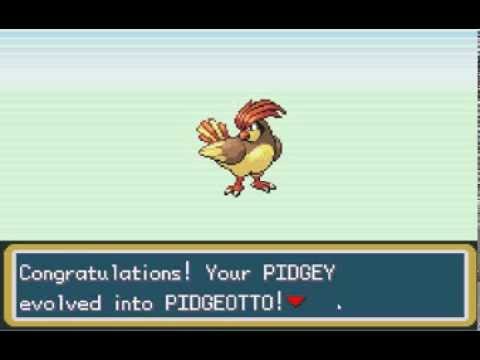 Pidgey Evolution Chart Fire Red