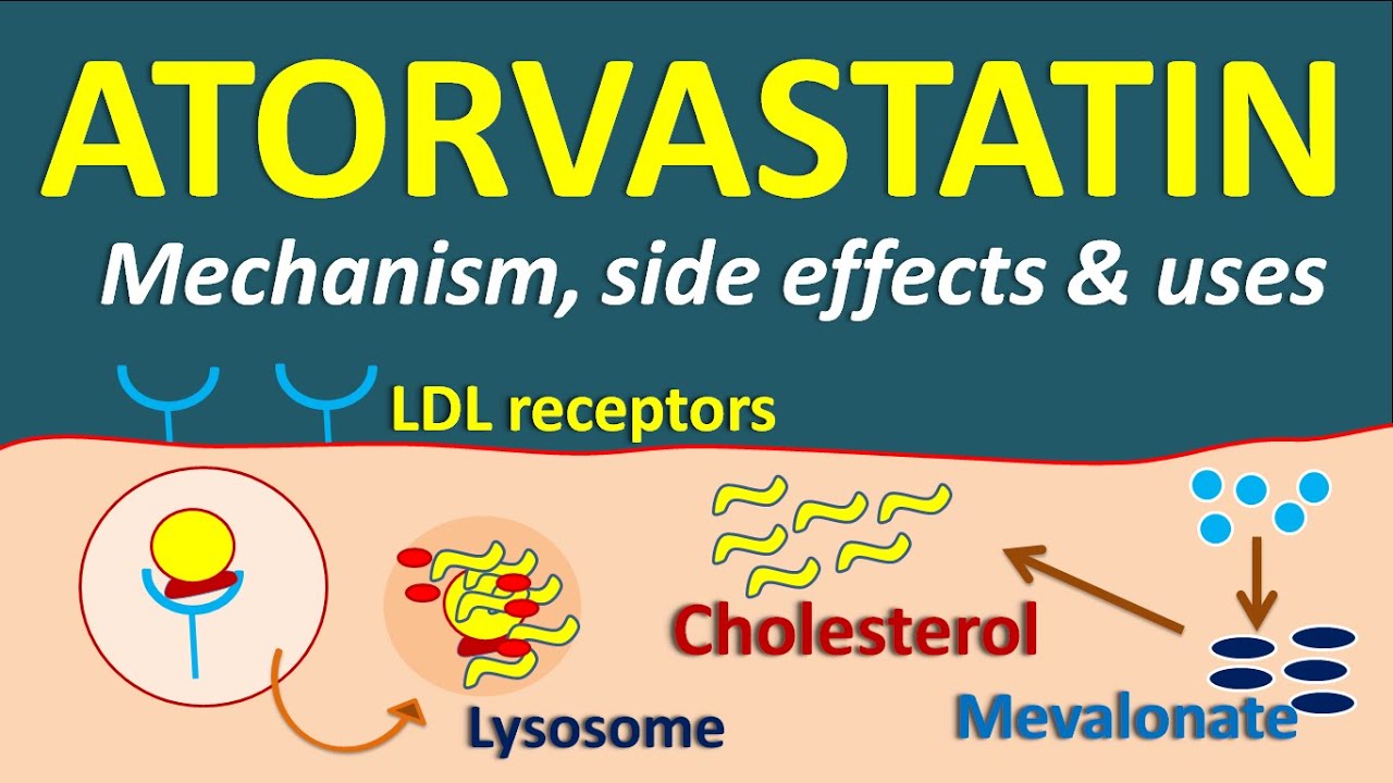 Atorvastatin uses