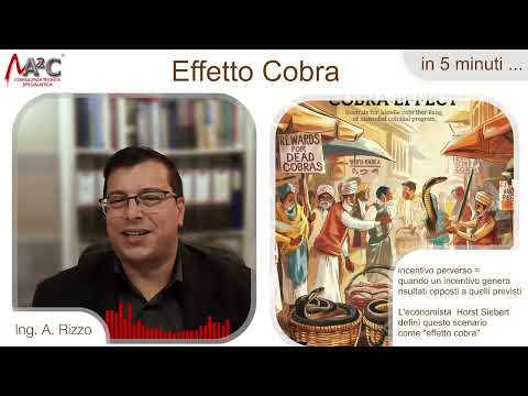 L'effetto cobra: l'incentivo perverso - in 5 minuti