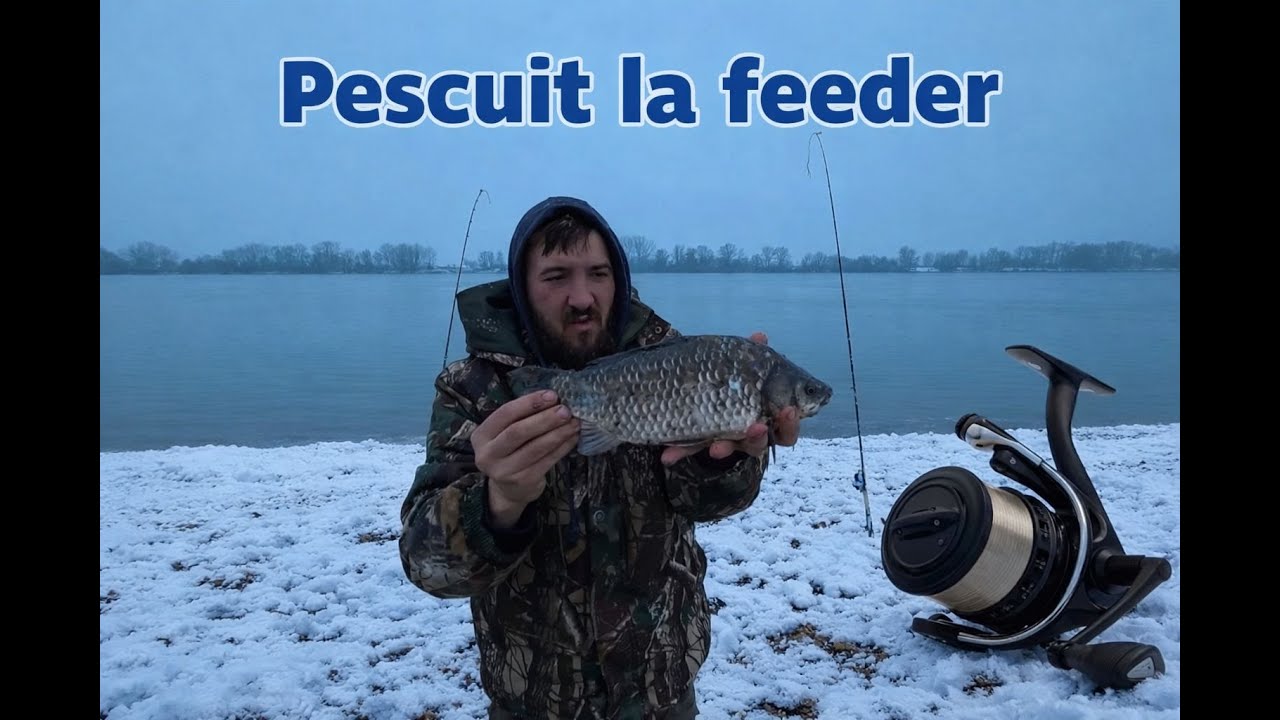 Am spart gheata la Pristol, primii pesti de la pristol pe vant si zapada.