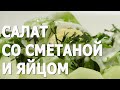 Cалат со сметаной и яйцом видео рецепт. Книга о вкусной и здоровой пище.