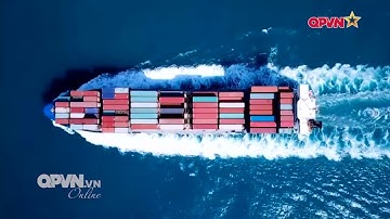 Thủ tướng thăm và làm việc tại Cảng Tân Cảng Cái Cui