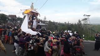 Ngaben or Cremation Ceremony