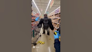 Sora 2 Gorilla Gets Angry in a Supermarket