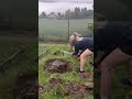 Stressabbau #workout #stresslevelzero #oldschool #backyardgardening #garten #rückentraining #fitness