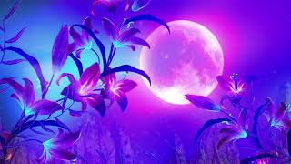 432 Hz Tranquil Sleep music. Insomnia Healing Miracle Tone