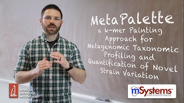 MetaPalette  - mSystems