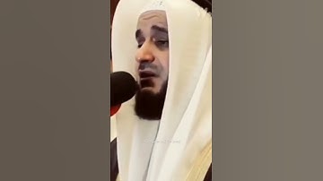 العفاسي - سورة هود الآية 42