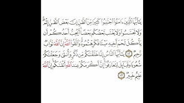 سورة الحجرات 6 القسم السادس تكرار كيفي من .. يا أيها الذين آمنوا اجتنبوا .. إلى .. إن الله عليم خبير