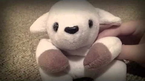 On the floor feat. Brother Lambie and Sister Lambie