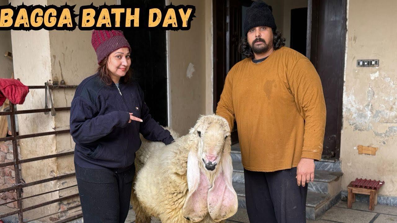 Bagga bath day | bagga ny bht tang kiya | @NehaMughal7 