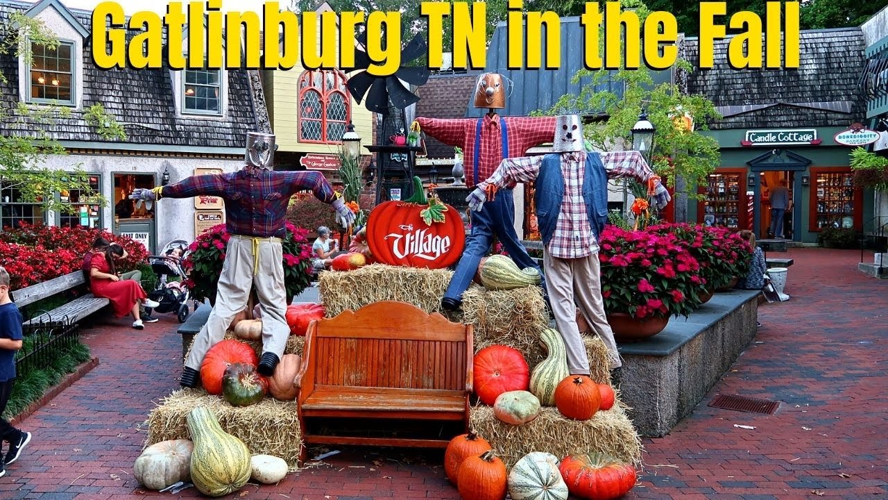 Gatlinburg Tennessee in the Fall A Beautiful Autumn Day 2021 YouTube