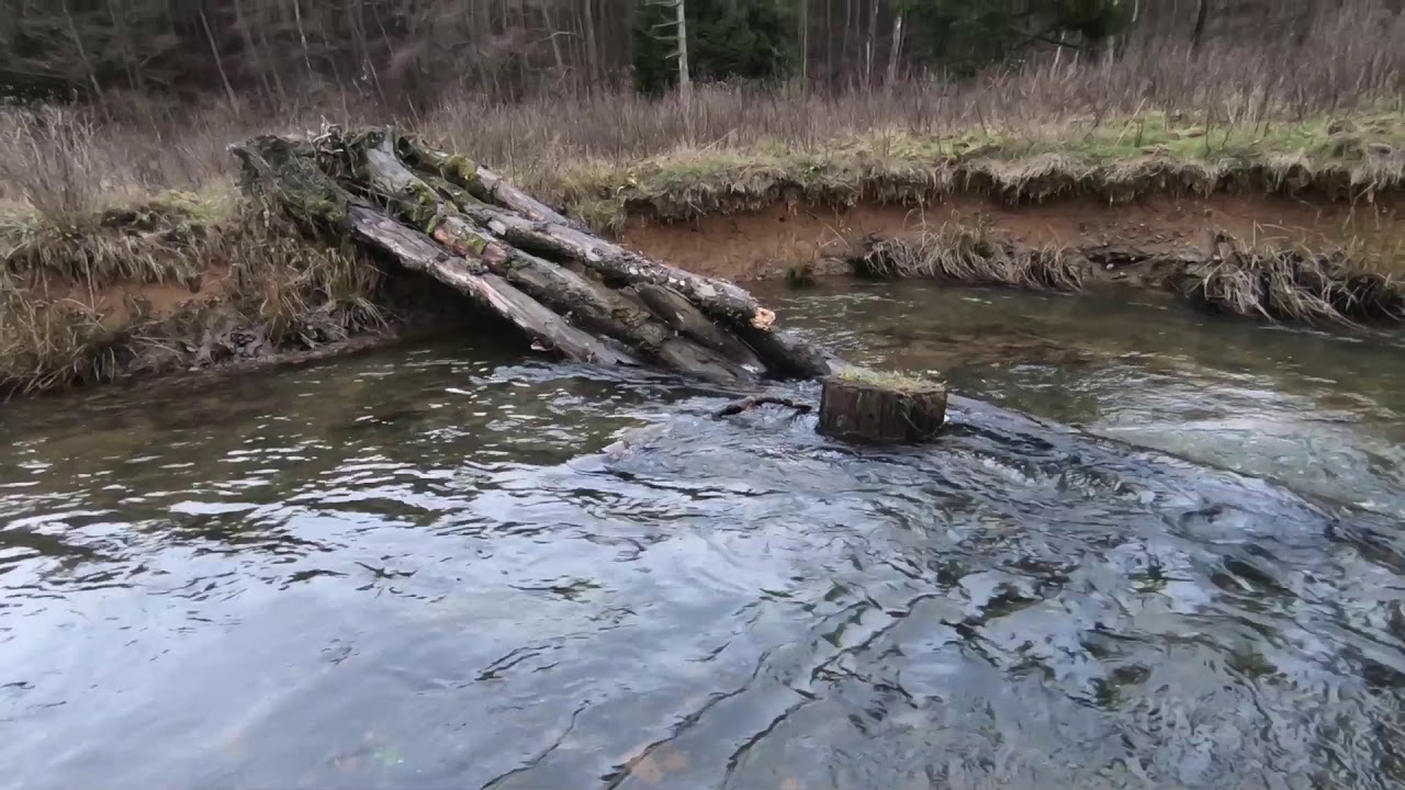 Dokumentation - Hevetal/Heve - Trockenperiode beendet - Dez. 2018