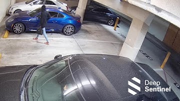 STOPPED by Deep Sentinel #85 -  Live guards stop suspects sneaking around cars