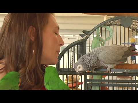 West Michigan woman&rsquo;s home is for the birds