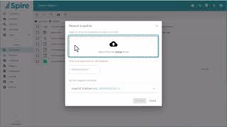 Spire Backup and Restore Databases