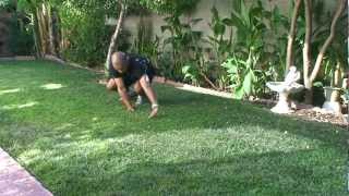 Lateral Ape - Lainel Briones' Official Animal Flow Coach Video