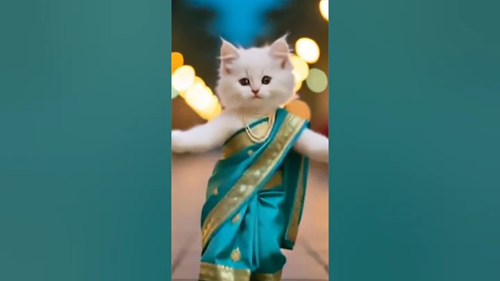 Video 11383881: cute cat funny dance, cat dance best funny