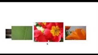 drupal js
