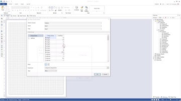 WinForms Reporting Tools: Replacing Field Values in Data Transformation [Shot on v2018]