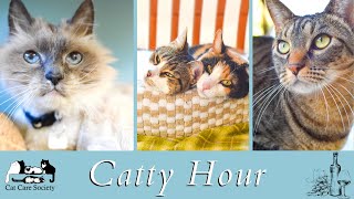 Catty Hour: January 14, 2022