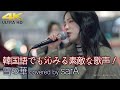 【 歌うま 】韓国語でも沁みる素敵な歌声! 雪の華 / 中島美嘉( covered by sarA )4K映像