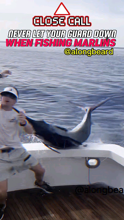 Black Marlin Straight into the Face 😱 #swordfish #marlin