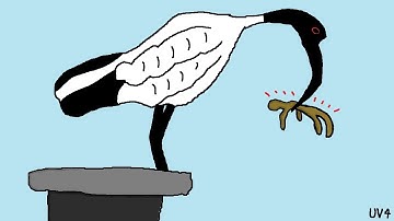 Tengu Necromancer of Sif Muna Part 1 - Dungeon Crawl Stone Soup