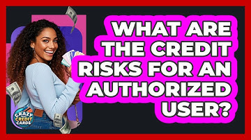 What Are the Credit Risks for an Authorized User?