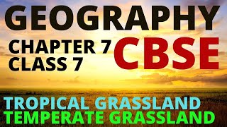 Grasslands, Temperate Grasslands, Granaries of the world, Tropical Grasslands, Savanna, Prairie CBSE