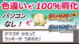 ポケモンhgssでタマゴから色違いを孵化する方法 パソコンなし 色孵化乱数 メロボ乱数 Youtube ポケモンhgssでタマゴから色違いを孵化する方法 パソコンなし 色孵化乱数 メロボ乱数 Youtube