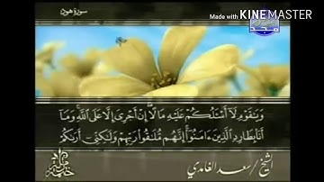سورة هود - من آية ( ٢٩ ) إلى آية ( ٣٧ ) - للقارئ : سعد الغامدي .