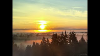 Unit 1503 - 3100 Windsor Gate, Coquitlam