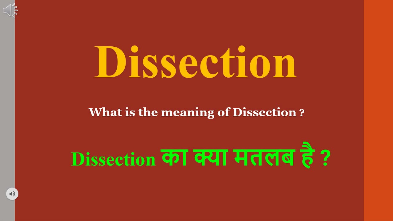 dissection-meaning-in-hindi-dissection-ka-kya-matlab-hota-hai-daily