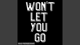 Download Lagu Won't Let You Go MP3