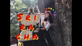 [VLOG] -- สีชาที่รัก (1/2) 💚🍃