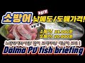 노량진수산시장/새벽활어도매가격/낮에도가능/방어/kg당/20,000원/활어리뷰/소비자는 가격착한곳을 선호합니다/Korean Seafood market