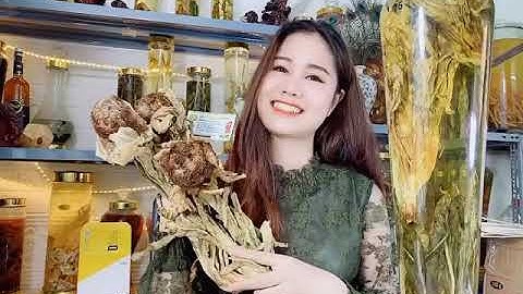NGÂM RƯỢU HOA TUYẾT LIÊN SƠN CỰC TỐT - THẢO DƯỢC BẢO KHÁNH