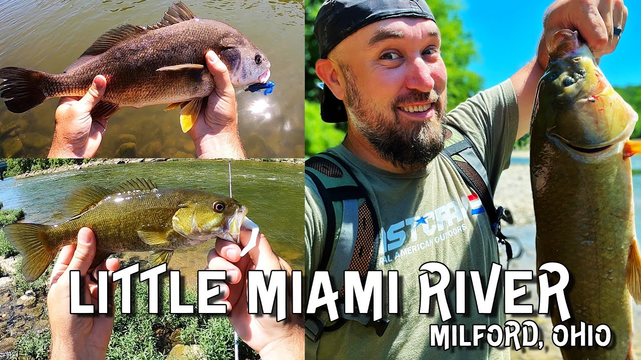 CATCH EM ALL!!! ... in the Little Miami!!  (Milford, Ohio)