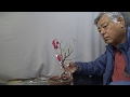 KOMAYUMI. EUONYMUS ALATUS. Bonsai master cut,repot,use the thick wire to the tree.
