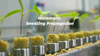 Download Lagu Automatic Seedling Propagation. MP3