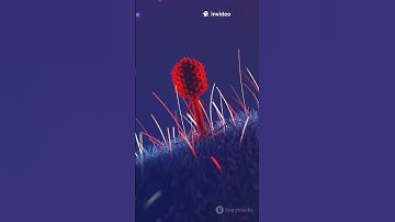 Shocking Mars Discoveries: Are We Alone?