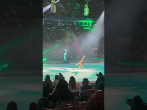 Ледовое шоу Татьяны