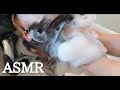 ヘッドスパ【泡で頭皮マッサージ】シャンプー ASMR