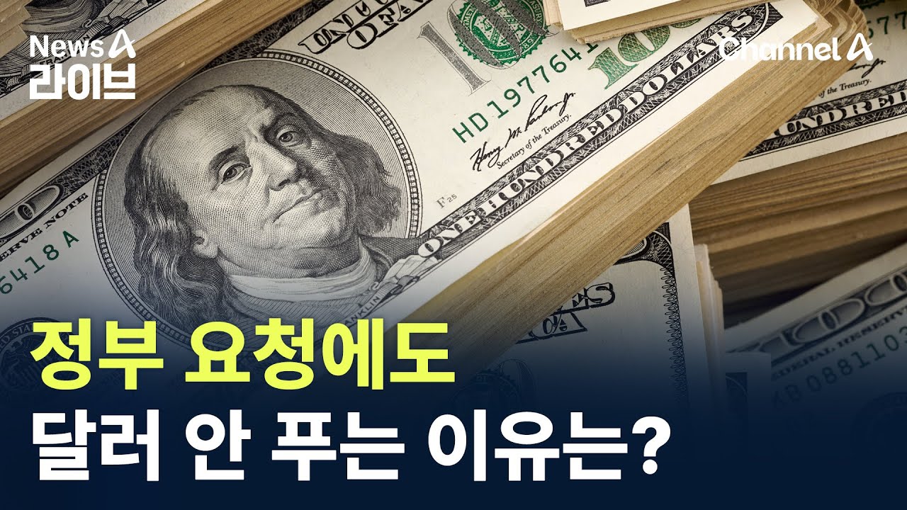 정부 요청에도…기업들 달러 안 푸는 이유는? / 채널A / 뉴스A 라이브